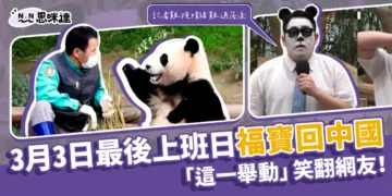 福寶回中國：3/3最後上班日！南韓記者「這一舉動」笑翻網友！