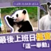 福寶回中國：3/3最後上班日！南韓記者「這一舉動」笑翻網友！