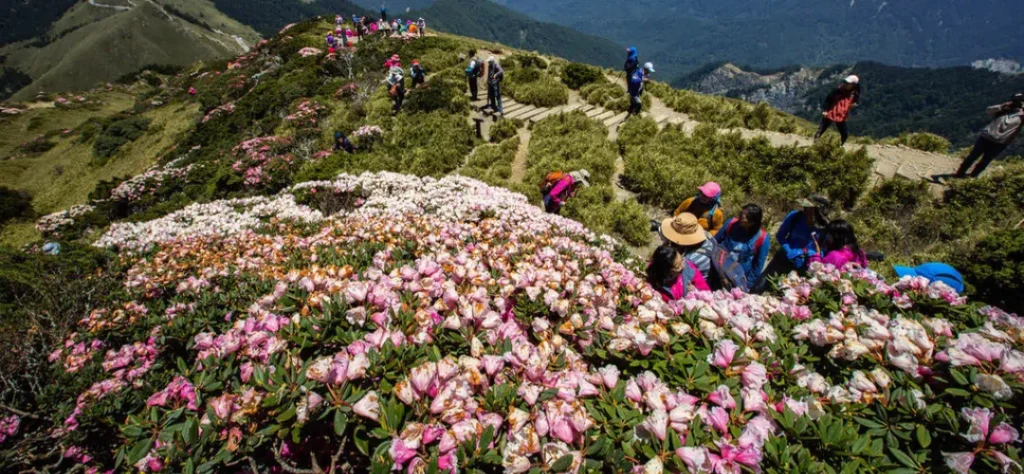 2024清明連假旅遊！盤點15個連假景點、推薦住宿一次看