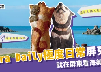 日本「極度日常」在屏東看海美術館，抱抱貓咪成展場焦點