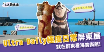 日本「極度日常」在屏東看海美術館，抱抱貓咪成展場焦點