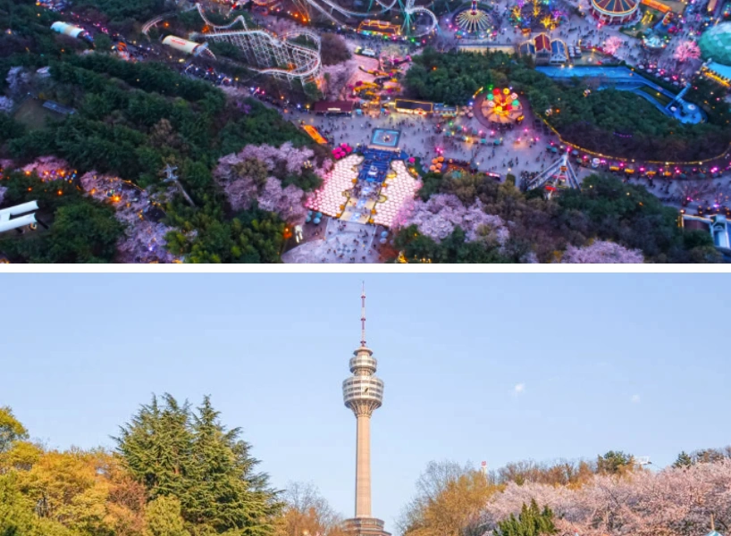 韓國大邱景點+必吃美食推薦》首爾去膩了?大邱一日遊這樣玩!