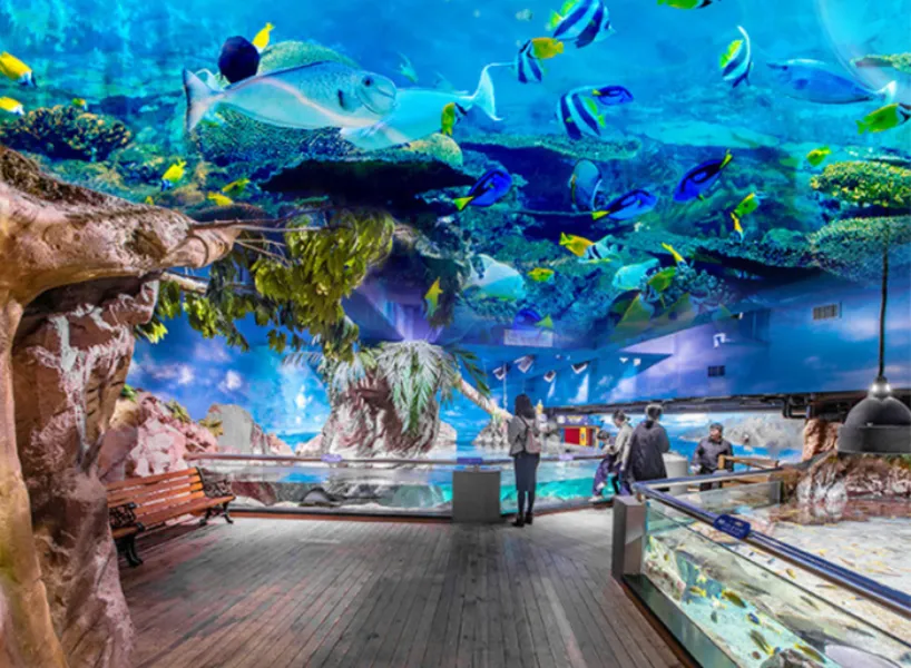 首爾親子景點:COEX 水族館
