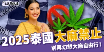 2025泰國大麻禁止時間＋原因整理！別再幻想大麻自由行！
