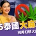 2025泰國大麻禁止時間＋原因整理！別再幻想大麻自由行！