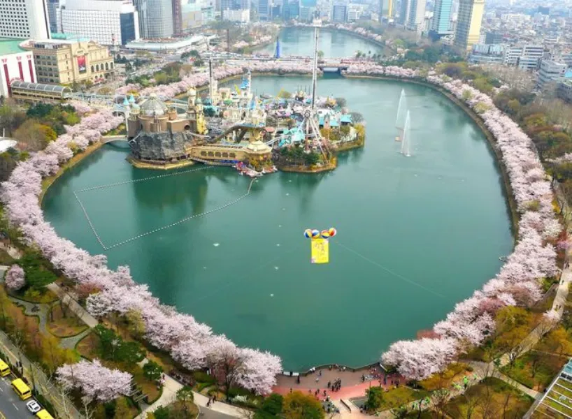 首爾賞櫻景點:石村湖公園