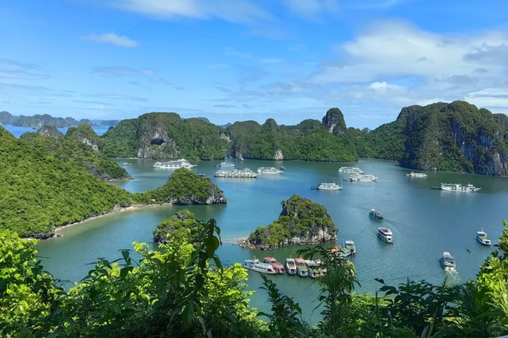 2025台灣飛越南免簽了嗎?免簽條件、必去越南景點一次整理!