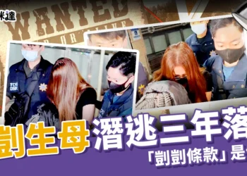 剴剴生母落網！潛逃 3 年背後原因曝光、「剴剴條款」是什麼？