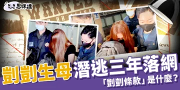 剴剴生母落網！潛逃 3 年背後原因曝光、「剴剴條款」是什麼？