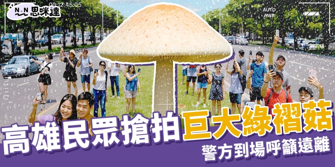 高雄長香菇!民眾擠分隔島搶拍巨大綠褶菇「有毒」警方出手了!