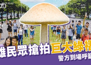 高雄長香菇！民眾擠分隔島搶拍巨大綠褶菇「有毒」警方出手了！