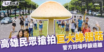 高雄長香菇！民眾擠分隔島搶拍巨大綠褶菇「有毒」警方出手了！