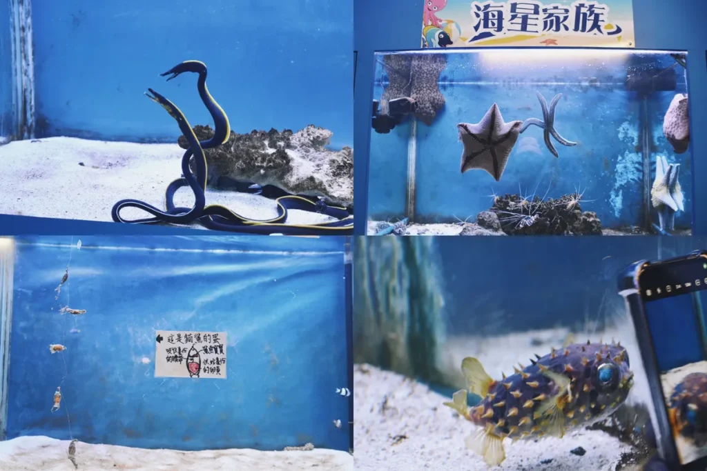 高雄澄清湖海洋奇珍園:世界海洋特殊動物區