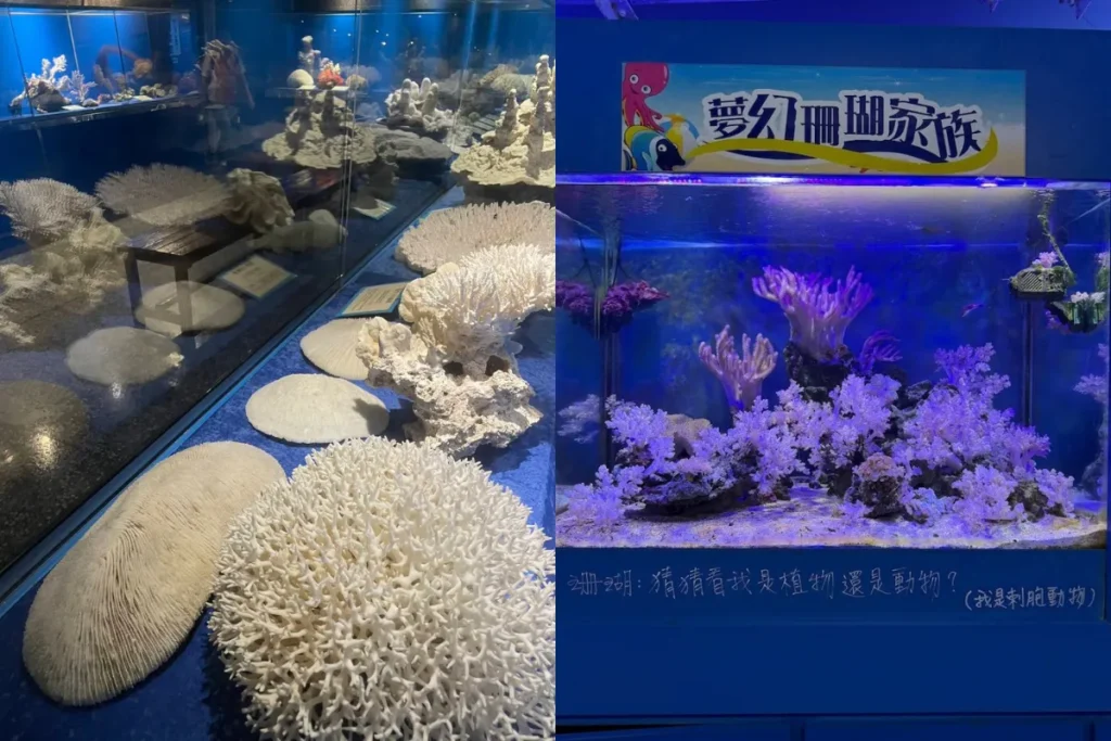高雄澄清湖海洋奇珍園:深海奇特珊瑚區