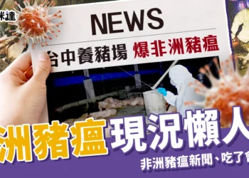 非洲豬瘟懶人包：台灣非洲豬瘟新聞、吃了會怎樣？全球現況統整