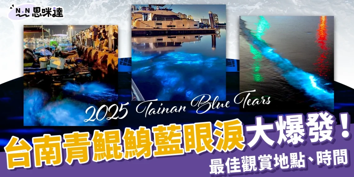 台南藍眼淚大爆發!青鯤鯓海面化身藍色星海,最佳觀賞地點、時間