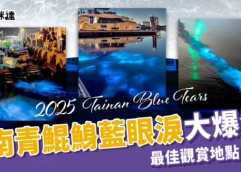 台南藍眼淚大爆發！青鯤鯓海面化身藍色星海，最佳觀賞地點、時間