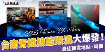 台南藍眼淚大爆發！青鯤鯓海面化身藍色星海，最佳觀賞地點、時間
