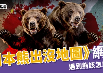 《全日本熊出沒地圖》日本熊攻擊事件劇增，遇到熊我該怎麼辦？