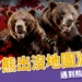《全日本熊出沒地圖》日本熊攻擊事件劇增，遇到熊我該怎麼辦？
