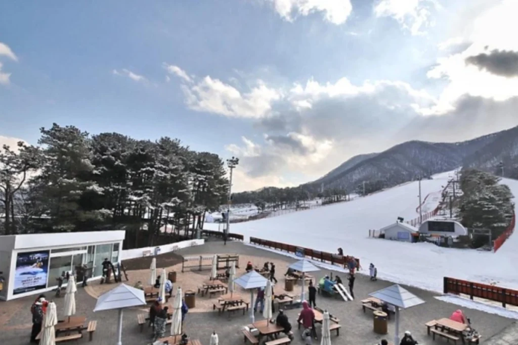 韓國滑雪全攻略