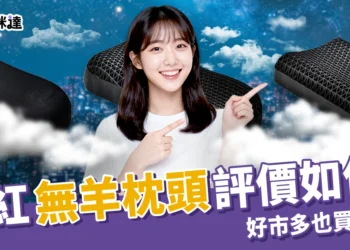 無羊枕頭評價如何？超好睡又能水洗的無羊枕頭好市多也買得到！