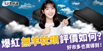 無羊枕頭評價如何？超好睡又能水洗的無羊枕頭好市多也買得到！