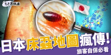 日本床蝨地圖瘋傳！旅客自保必看，台南旅館也被爆出床蝨危機