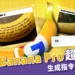 Gemini 3 Nano Banana Pro