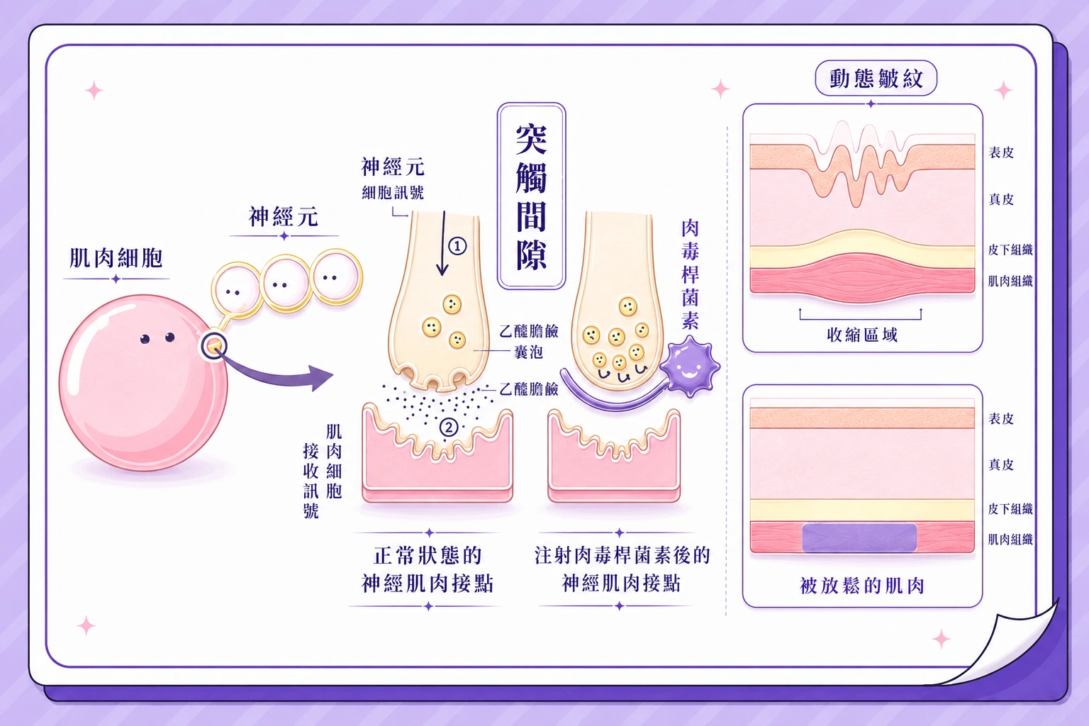 肉毒桿菌